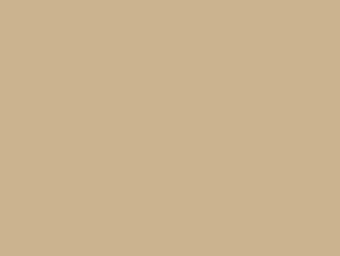 desert-beige